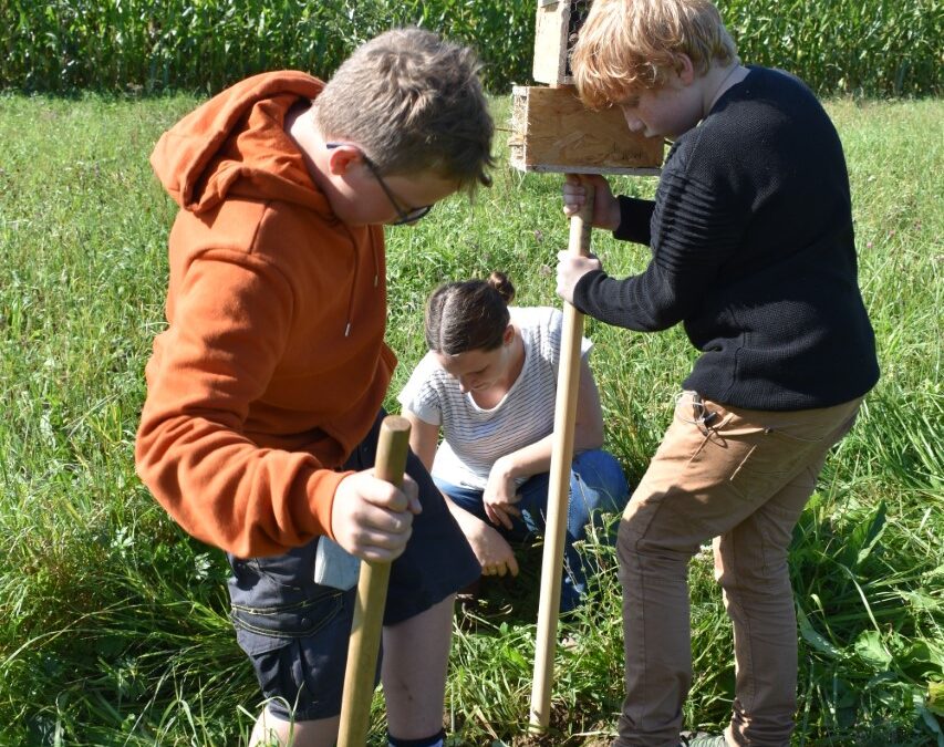 Sommerschule in der MS Wartberg